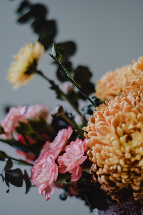 Ücretsiz Tilt Shift Objektifte Pembe Ve Sarı çiçek Stok Fotoğraflar