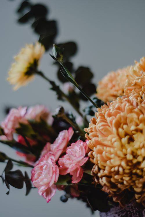 Free Close-up of a vibrant floral bouquet with chrysanthemums and carnations, perfect for decor. Stock Photo
