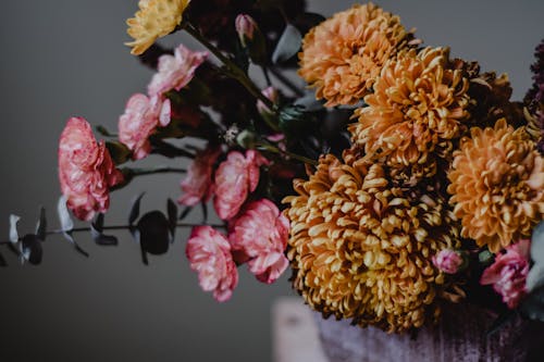 Ücretsiz Beyaz Seramik Vazoda Pembe Ve Sarı çiçekler Stok Fotoğraflar