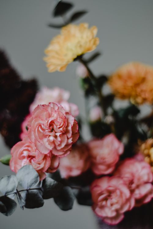 Free Close-up of a vibrant bouquet featuring pink carnations and peach flowers, perfect for floral decor. Stock Photo