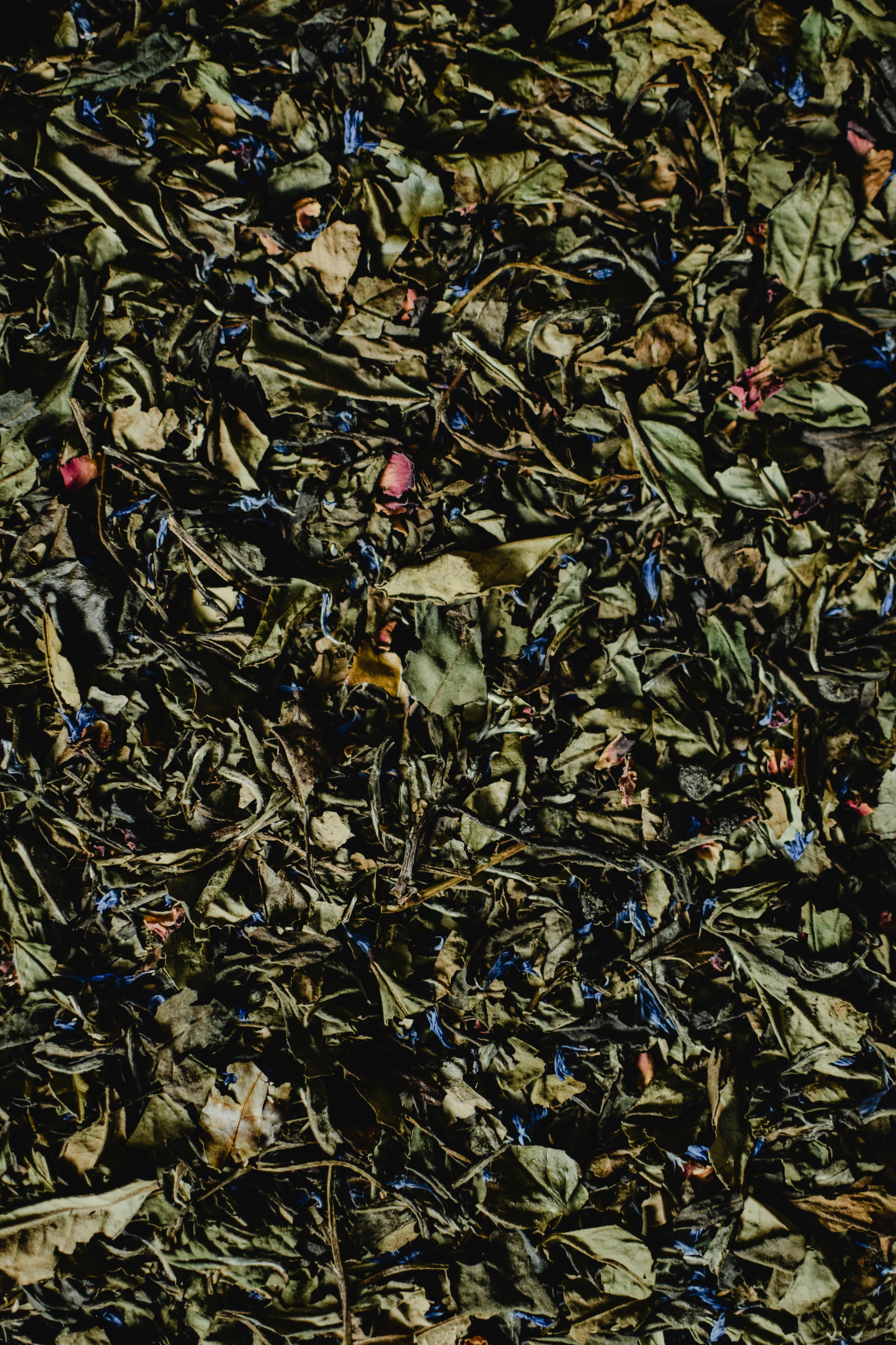 Close-up of assorted dried herbs and flowers forming a herbal tea blend.