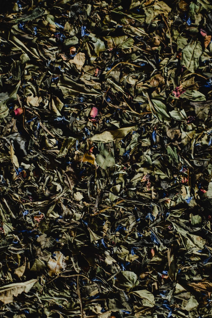 Assorted dried herbs