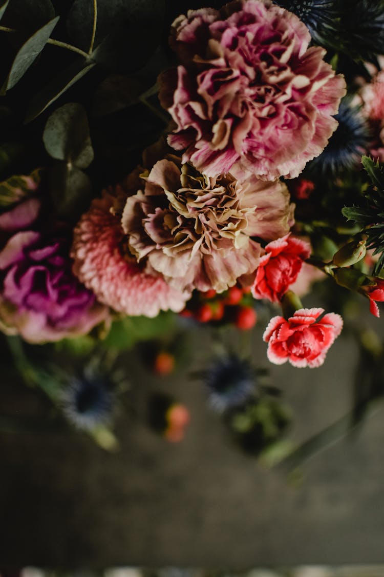 Vivid Flowers In Dark Room