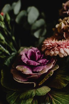 特写镜头中，一株充满活力的紫色十字花科植物在郁郁葱葱的花丛间展现出它的美丽与优雅