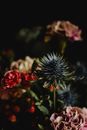 Eryngium Among Flower