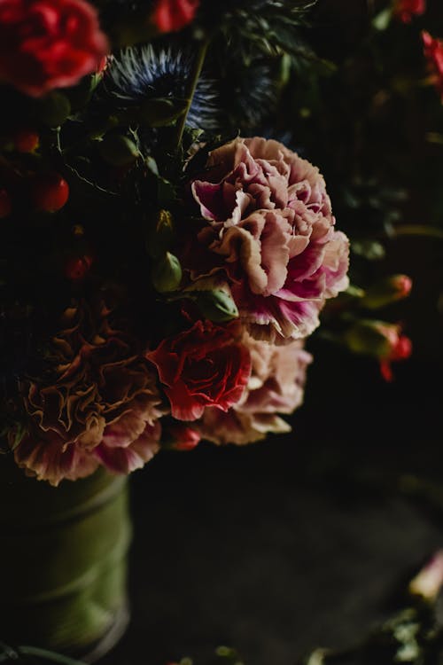 Kostenlos Rosa Rosen In Der Weißen Keramikvase Stock-Foto