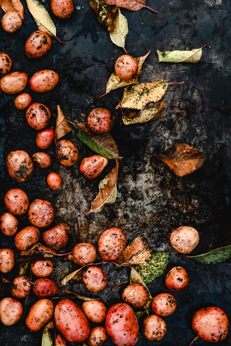 Potatoes And Leaves On The Ground