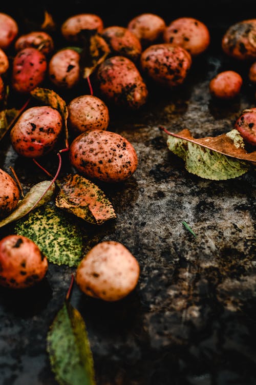 Free Unwashed Potatoes on Black Surface Stock Photo