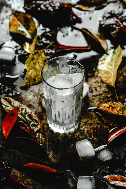 Vaso Transparente Sobre Hojas Negras Y Marrones