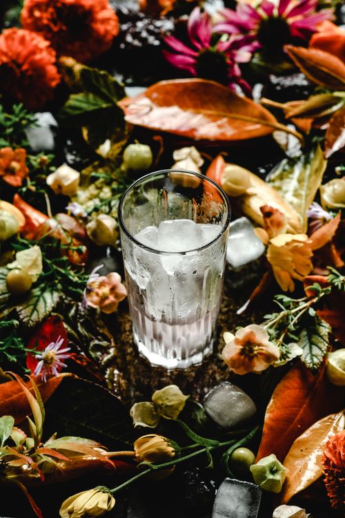 Free High-angle shot of a cold drink with ice cubes amidst vibrant flowers and leaves. Stock Photo