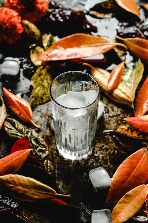 Free Прозрачный стакан для питья на коричневых листьях Stock Photo