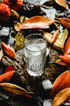 一杯水冰凉，杯身凝着水珠，四周散落着缤纷的秋叶