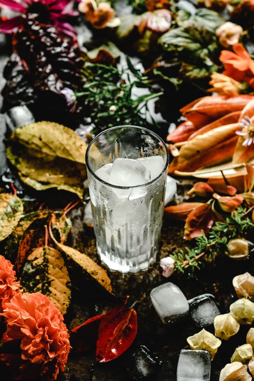 Free A refreshing glass of iced beverage amidst vibrant autumn leaves, flowers, and ice cubes. Stock Photo