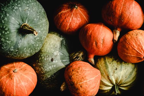Free An artistic close-up of fresh pumpkins and squash, perfect for fall-themed designs and harvest concepts. Stock Photo