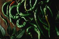 Macro Shot of Green Chili Peppers