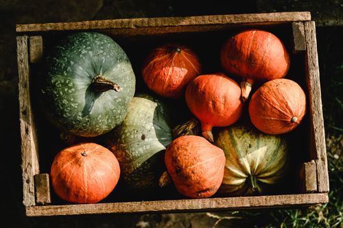 Free Colorful pumpkins and gourds in wooden crate capture the essence of autumn harvest. Stock Photo