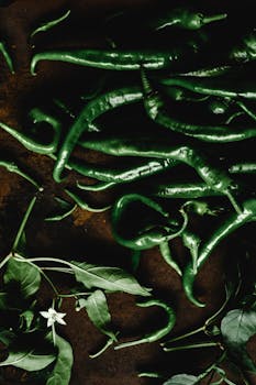 Poblano - Wikipedia