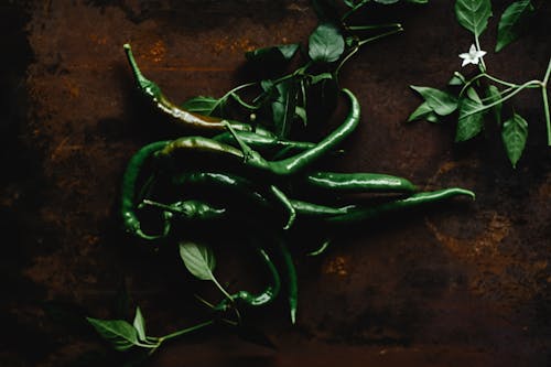 Free Green Chili Peppers Stock Photo