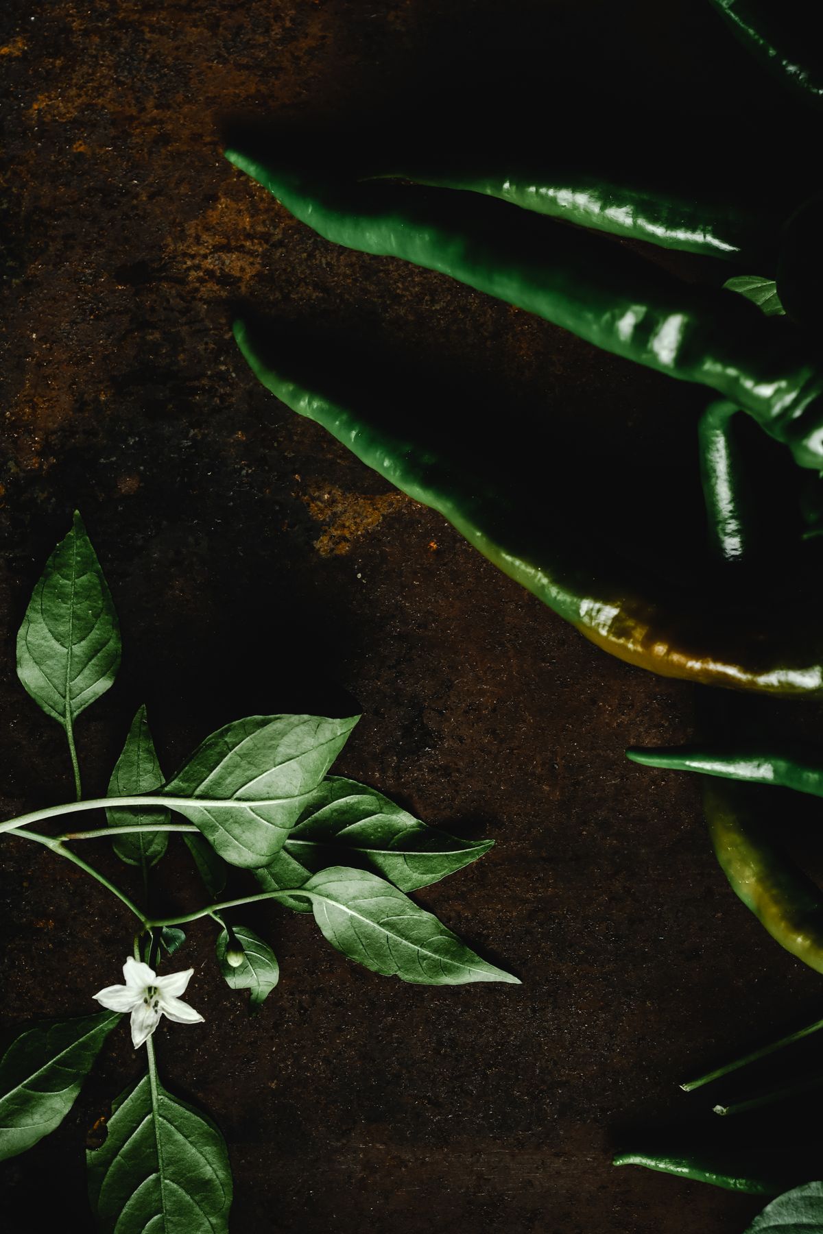 Green Chilli product view