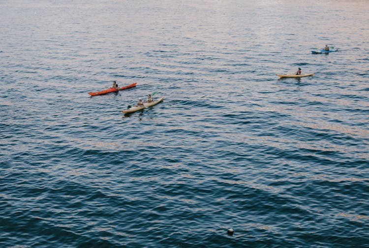People Canoeing On The Ocean