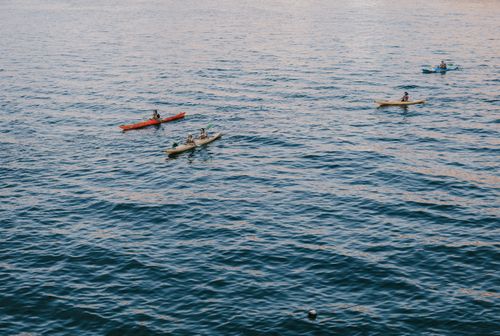Free Aerial shot of kayakers paddling on a calm blue ocean, enjoying a sunny day outdoors. Stock Photo