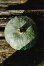 Overhead View of Green Pumpkin