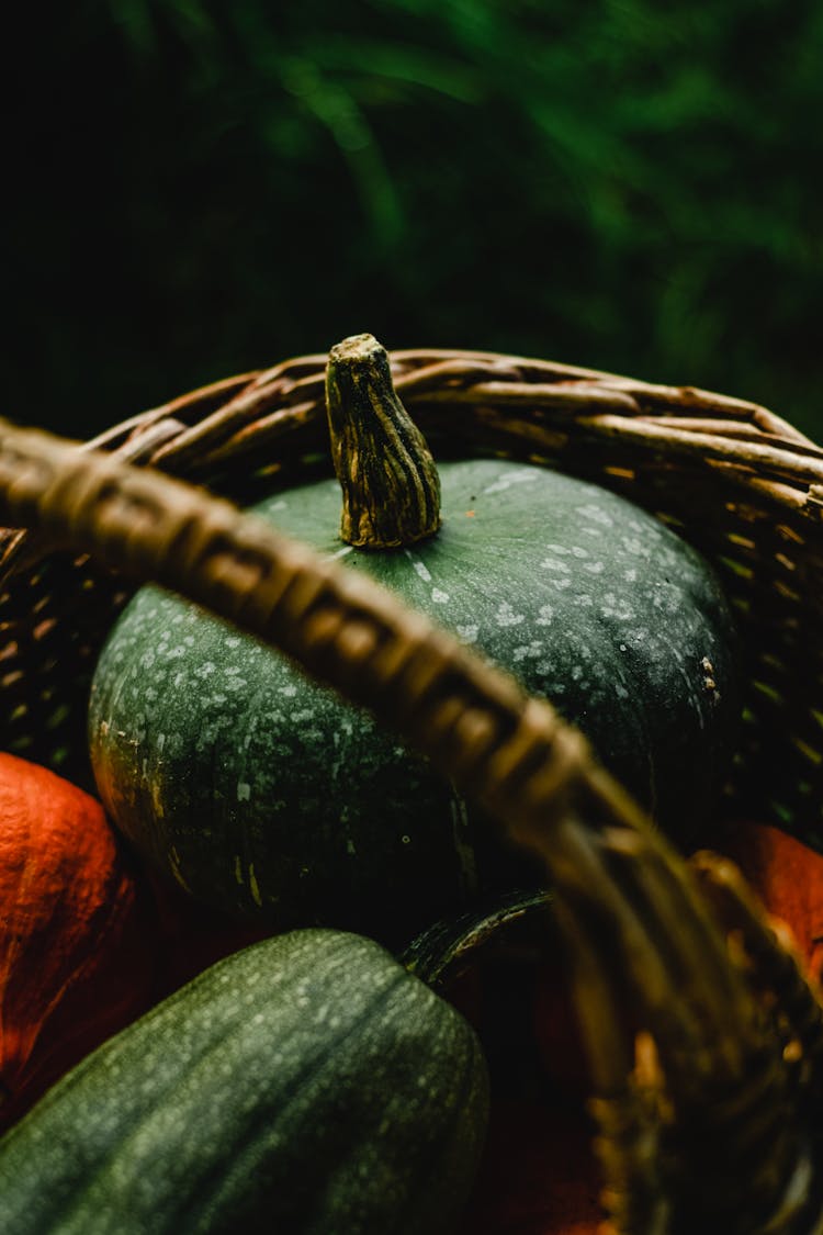 Green Squashes Inside A Basket