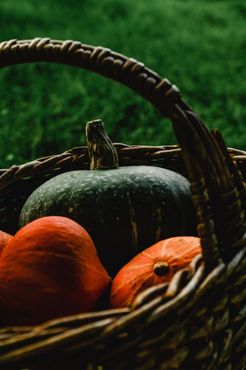 Gratis Orange And Green Pumpkin On Brown Woven Basket Foto Stok