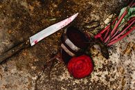 Slices of Beetroot Vegetable on Dirt Ground