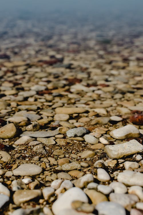 бесплатная Коричневые и черные камни на берегу моря Стоковое фото