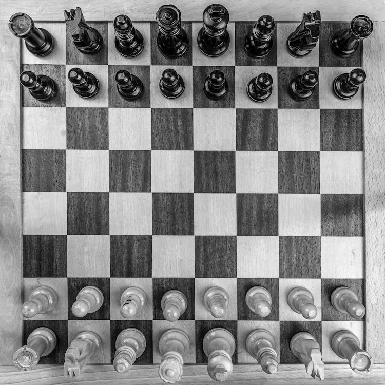Página 47  Chess Imagens – Download Grátis no Freepik