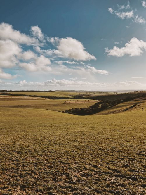 Free Expansive view of rolling hills under a bright sky in East Sussex, England. Stock Photo