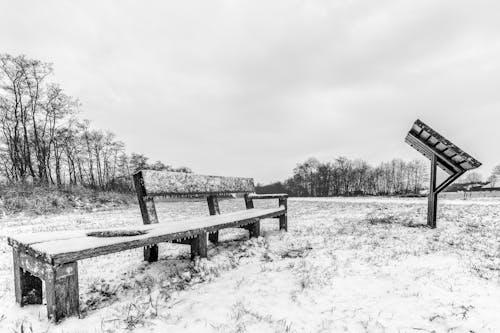 A Grayscale Photo of a Bench Covered with Snow