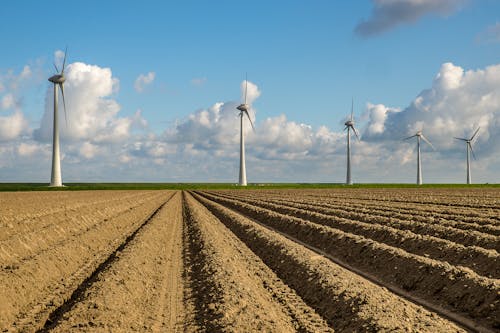 Gratis lagerfoto af alternativ energi, i en række, landbrugsareal