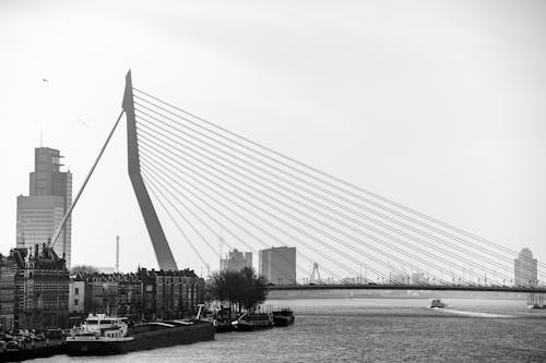 Grayscale Photo of Suspension Bridge over the River