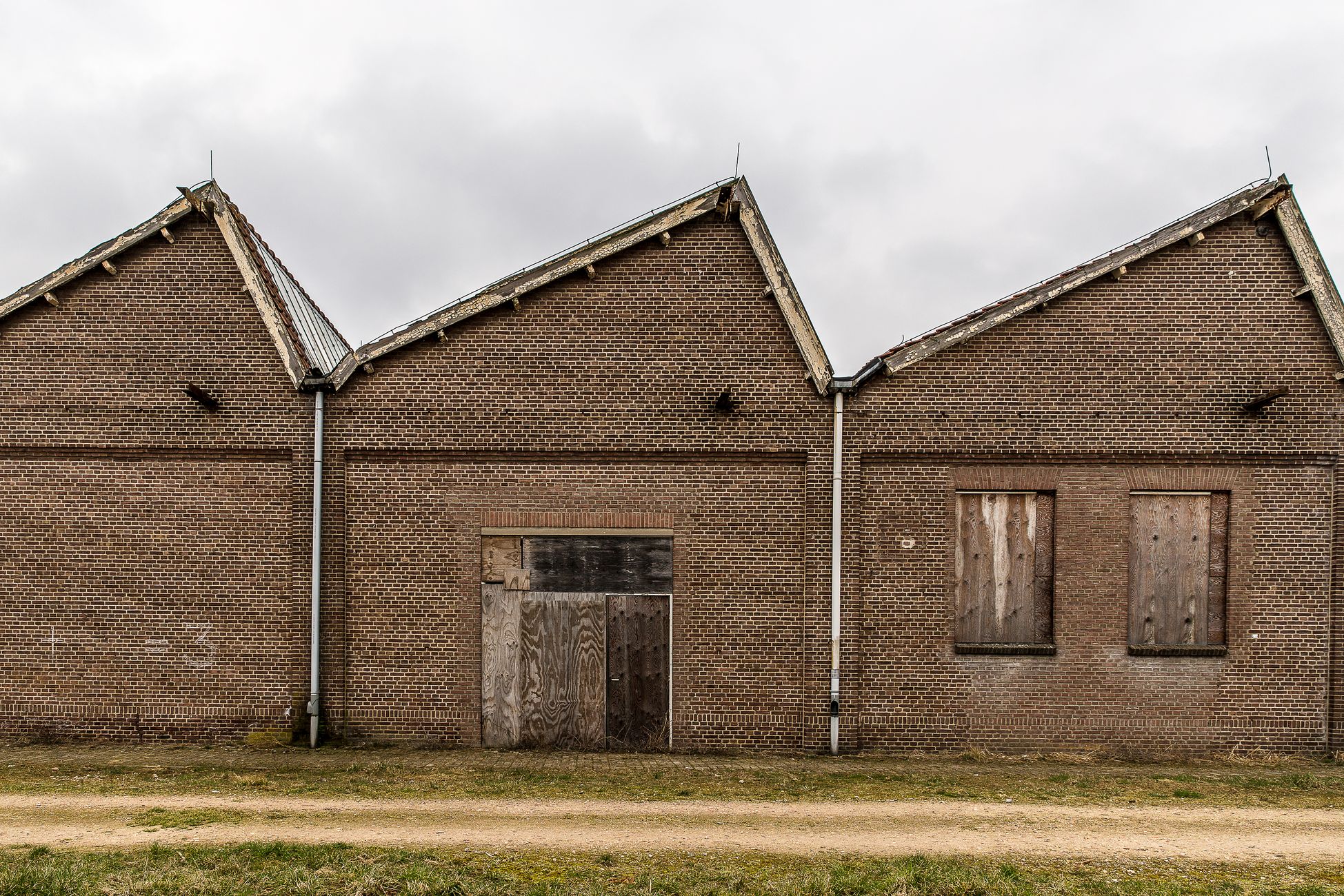 Slachthuizen vrezen hogere vleesprijzen door kabinetsmaatregel
