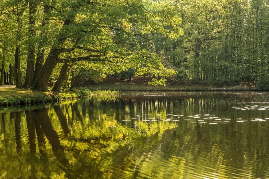 hearing wellness calm environment