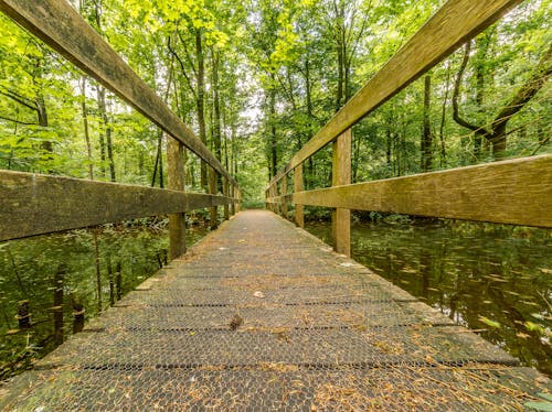 Brown Wooden Bridge over the River