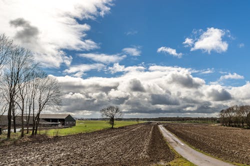 A Farm Field under the Blue Sky