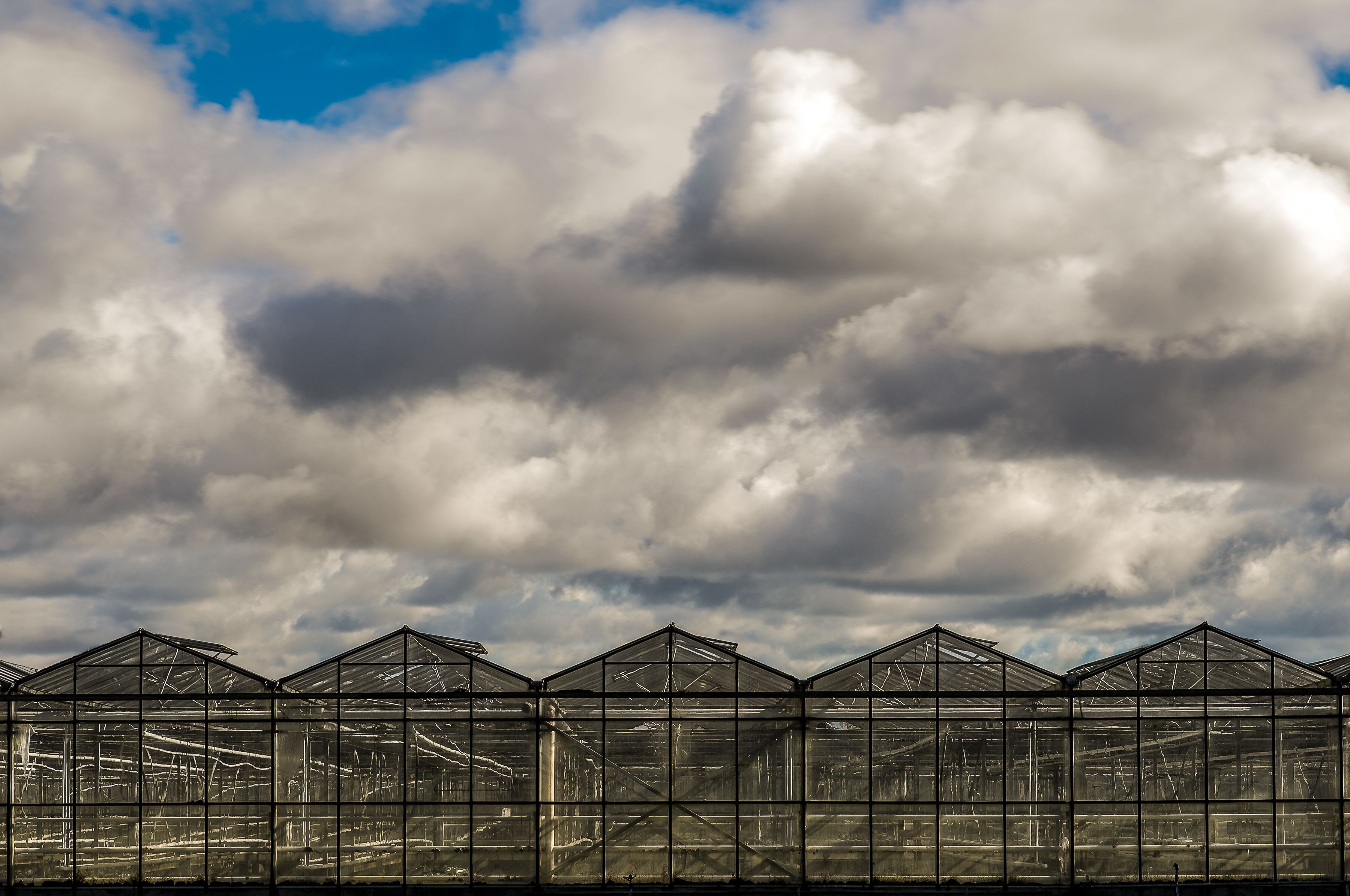 A row of greenhouses beneath a dramatic and moody cloudy sky, showcasing agricultural architecture.