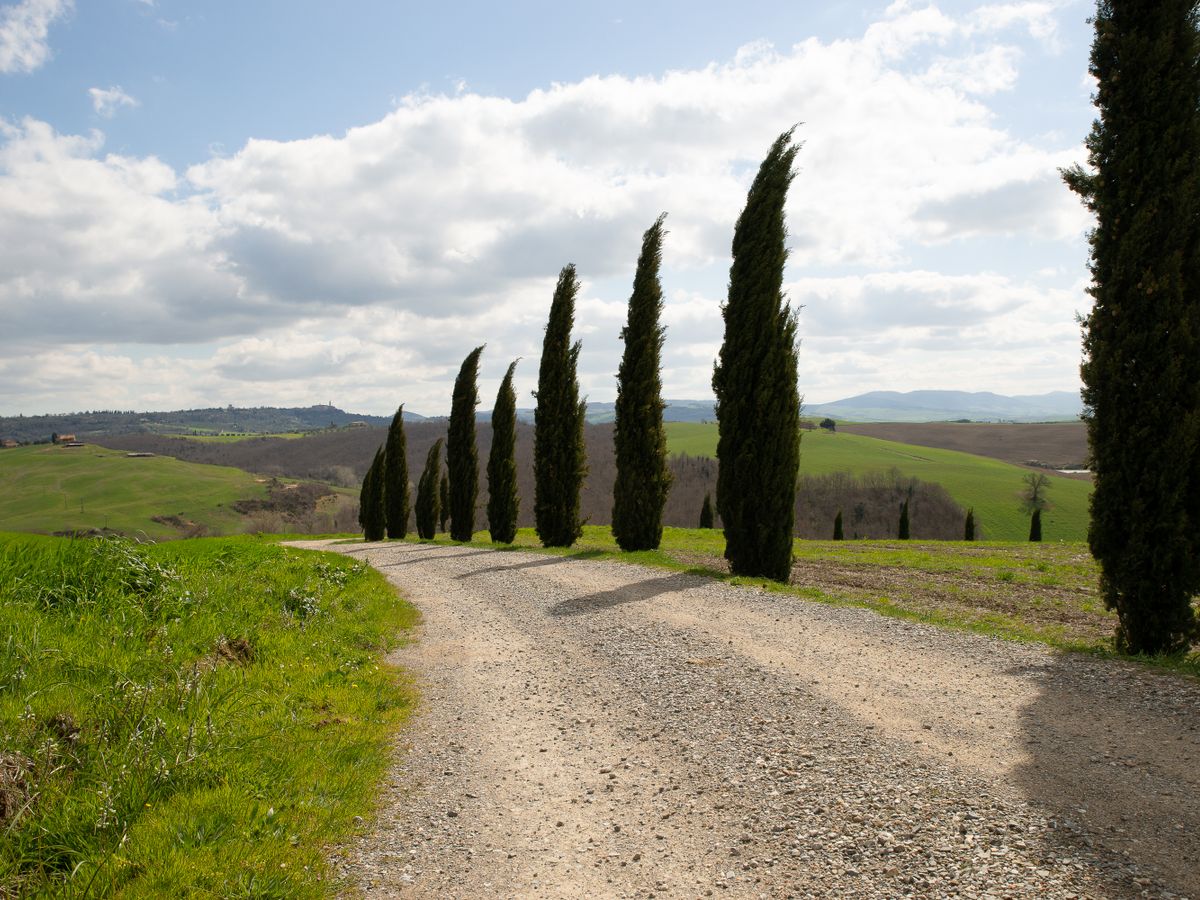 7 Day Luxury Yoga Retreat in Italy 2