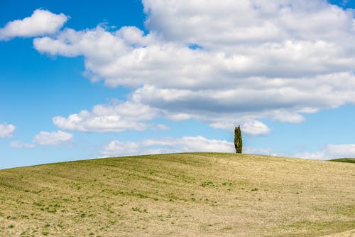 Green Grass Field Under Blue Sky