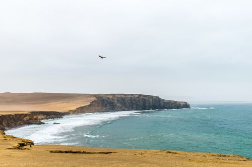 Free Majestic coastal cliffs with a bird soaring above the ocean under a clear sky. Stock Photo