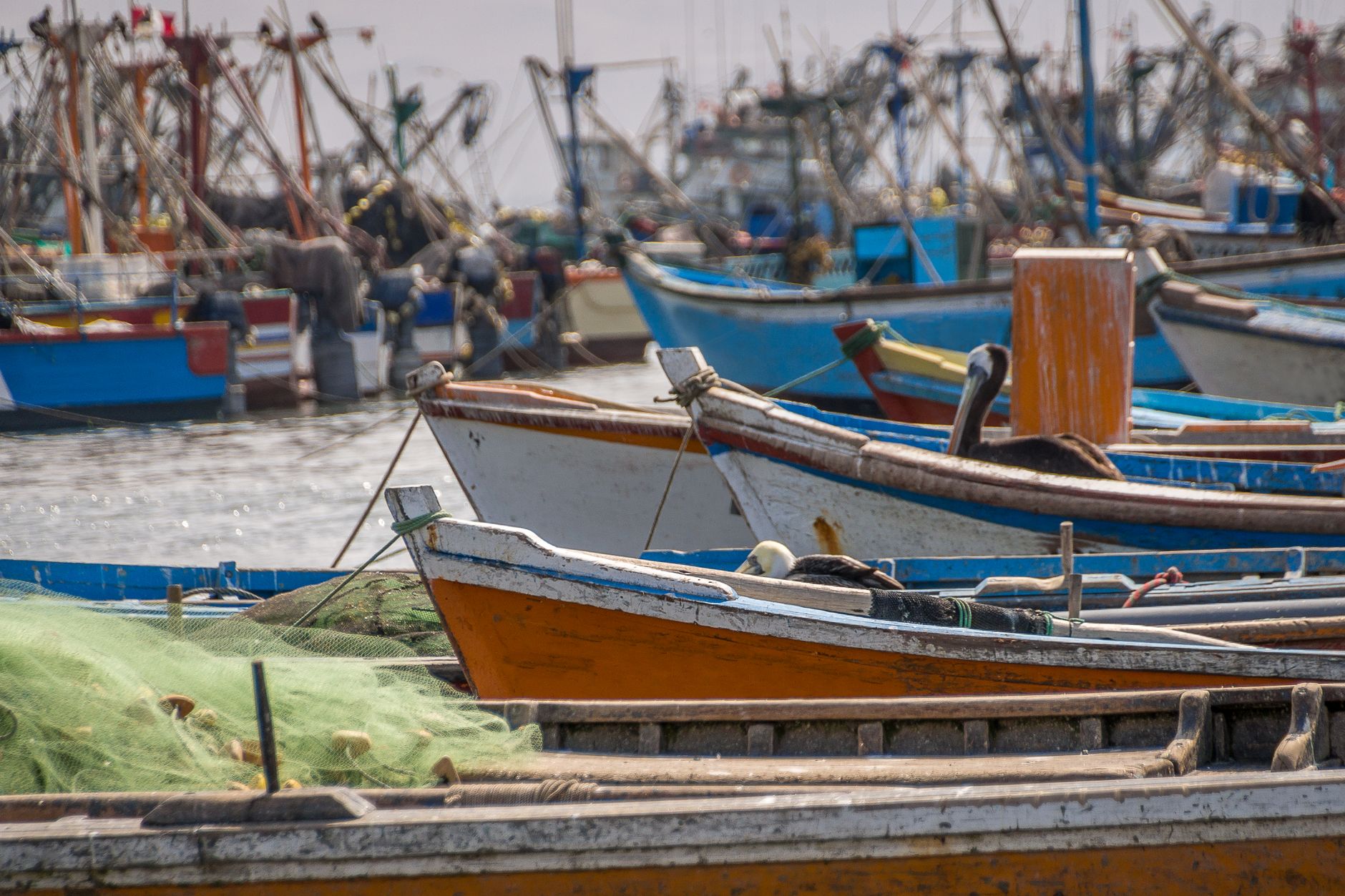 Port de Mahajanga avec bateaux de pêche amarrés et activité portuaire