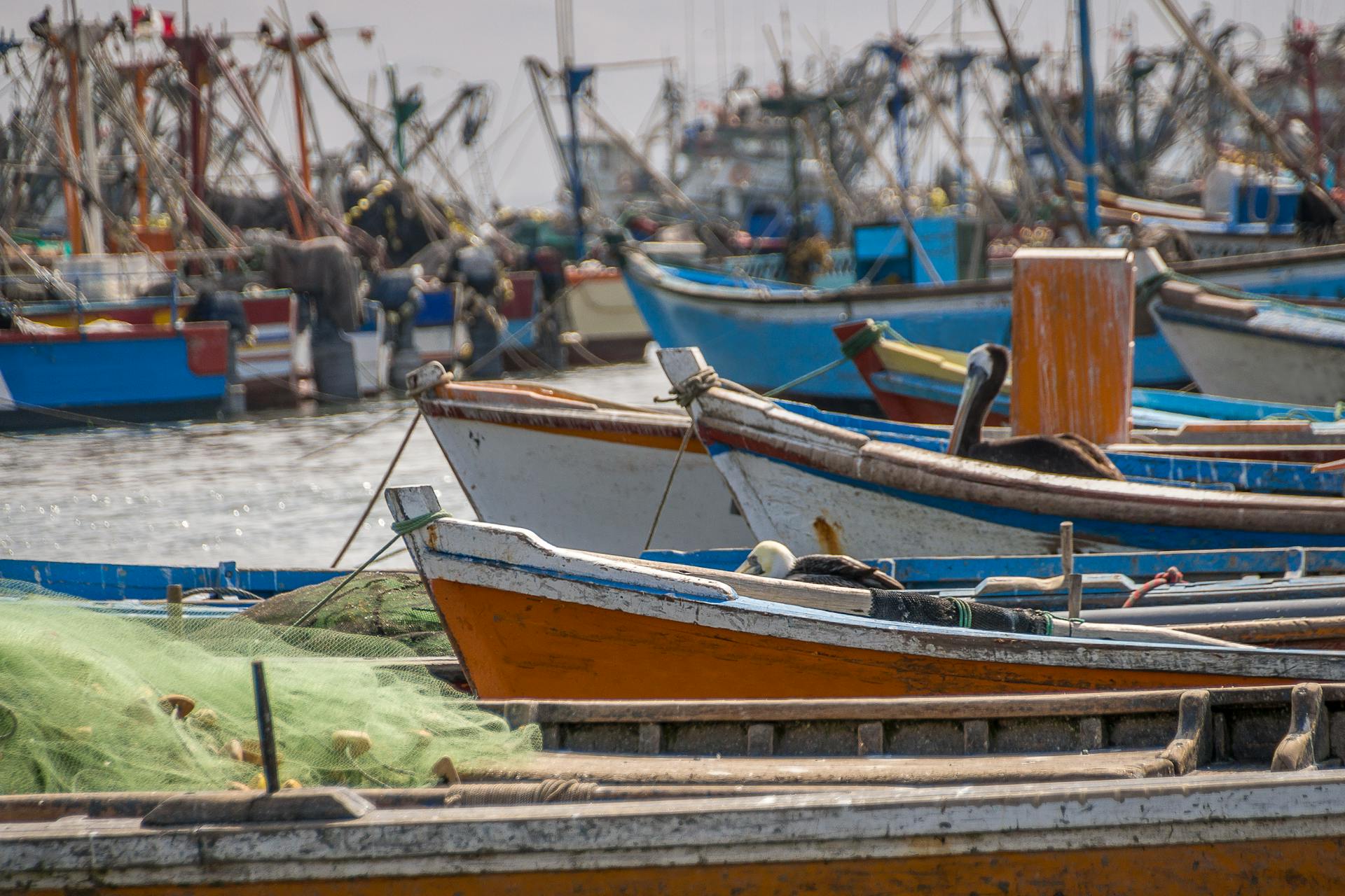 A vibrant collection of fishing boats docked along a bustling river, ready for the next journey.