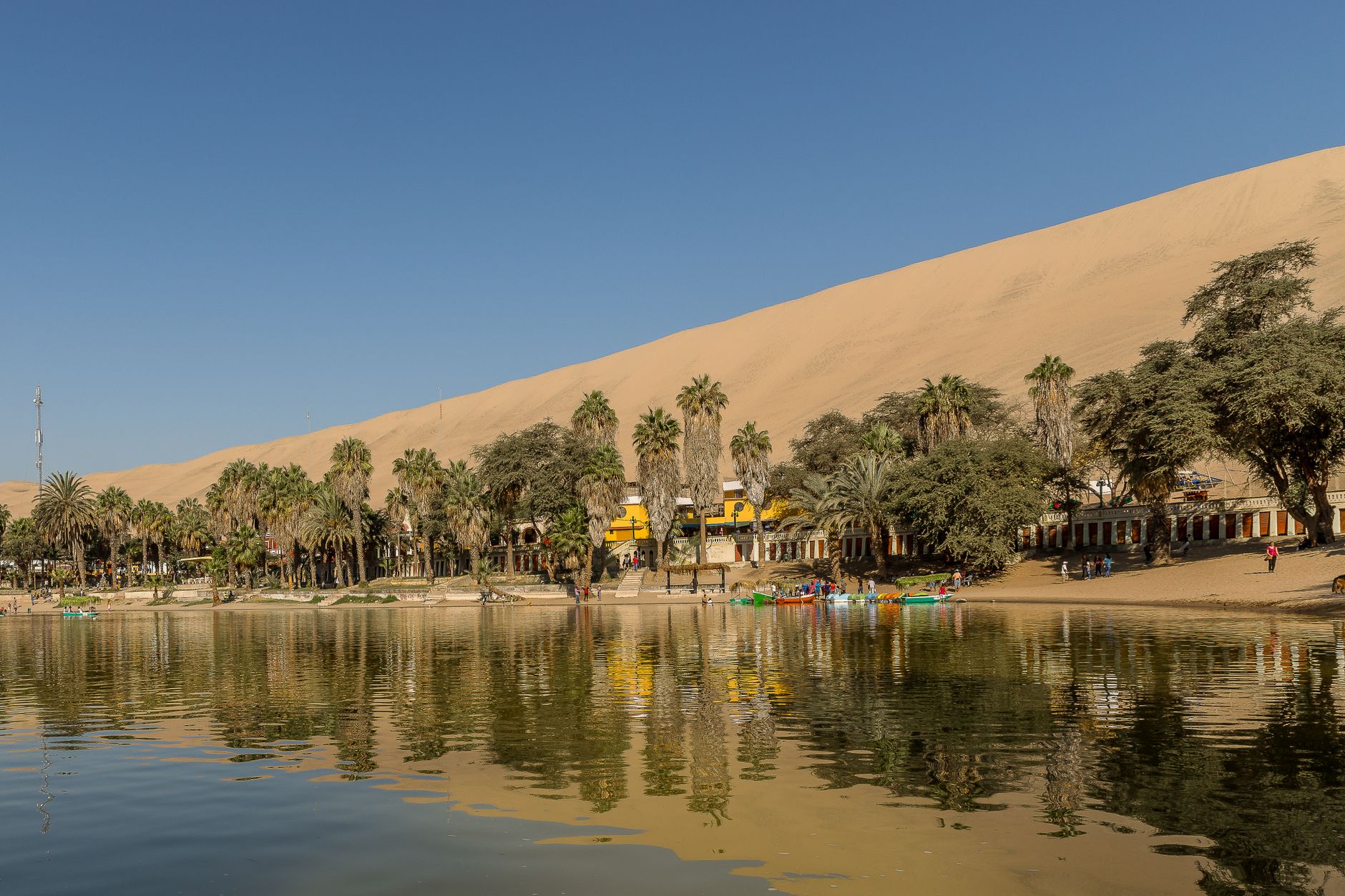 Stunning view of Huacachina oasis with lush palm trees and sand dunes under a clear sky.