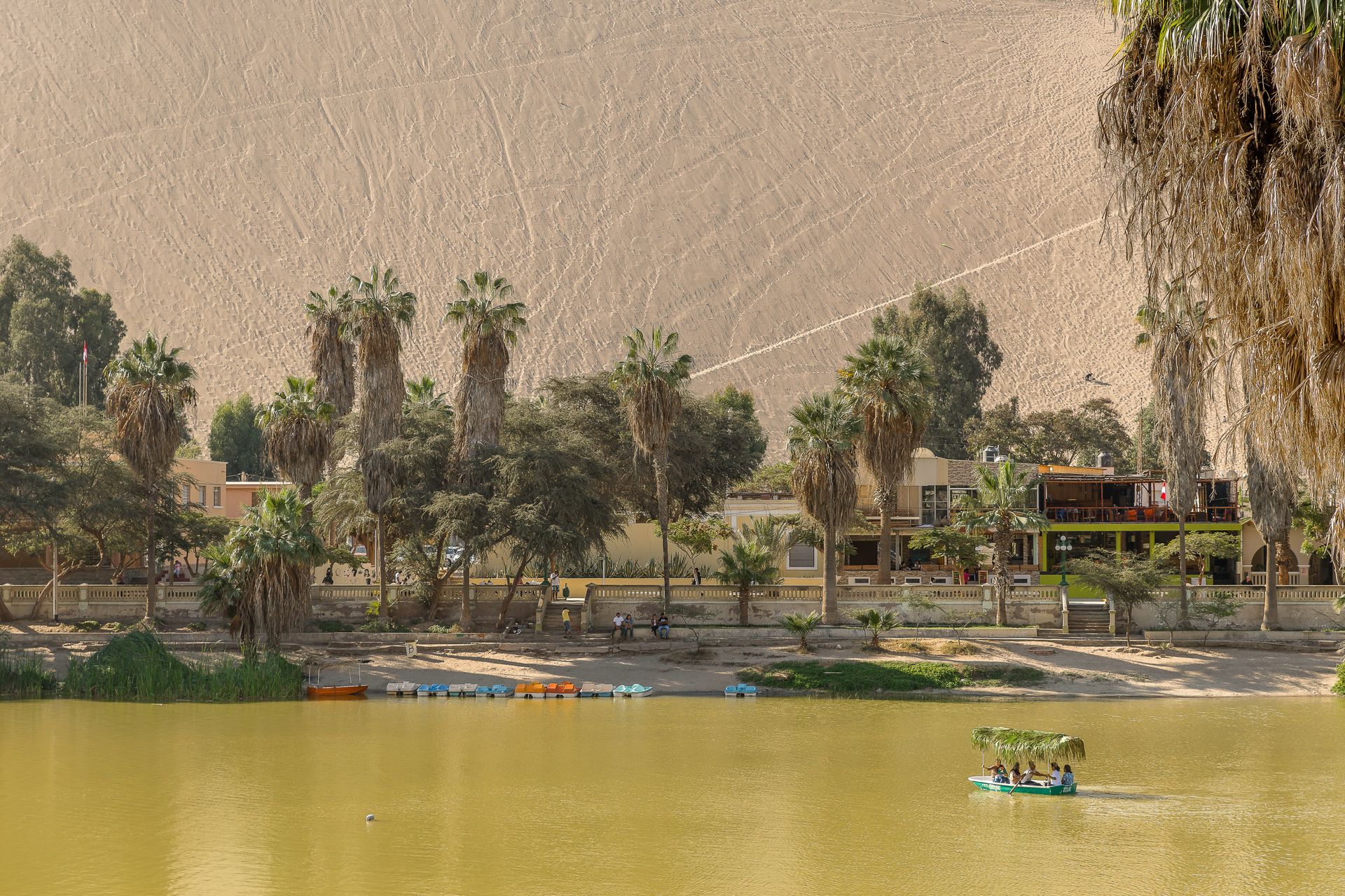 A picturesque oasis with palm trees and a sand dune in the background, offering a serene vacation vibe.