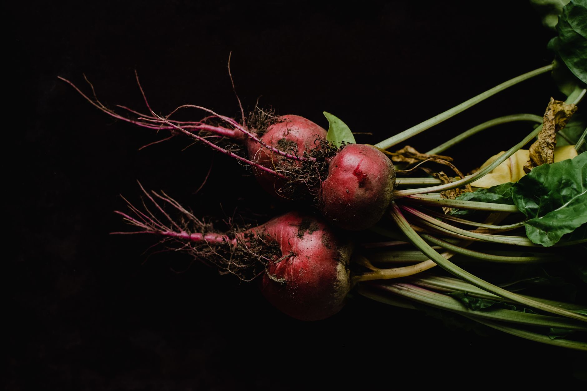 Raw beetroot, pre-dehydration