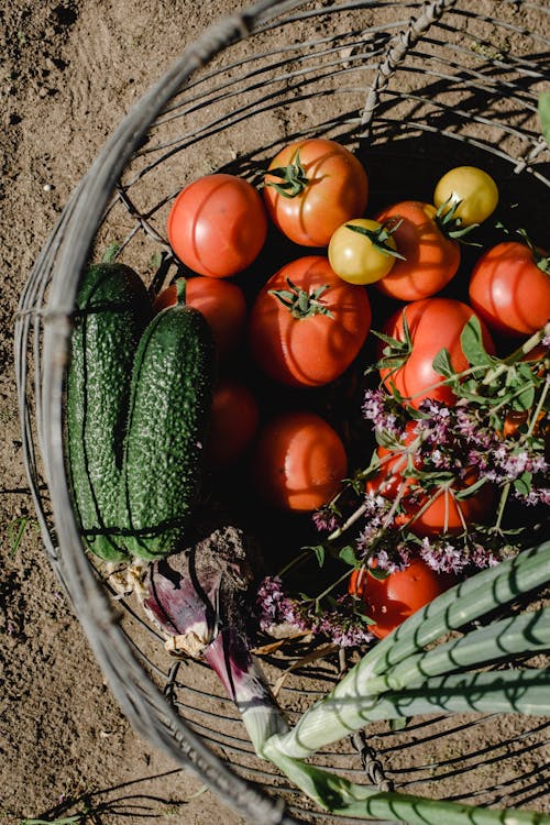 Different Fruits and Vegetables