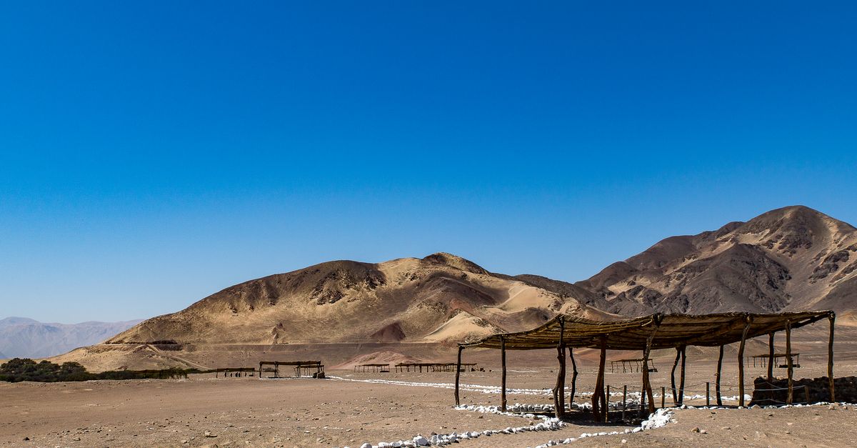 Vida resiliente en 8 desiertos y ambientes extremos del planeta Vida resiliente en 8 desiertos y ambientes extremos del planeta